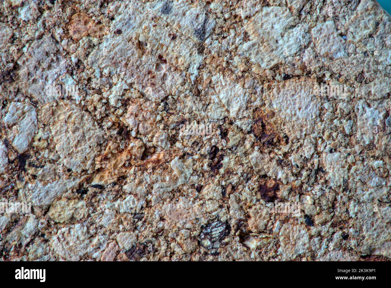 texture en détail, liège beige gros plan Banque D'Images