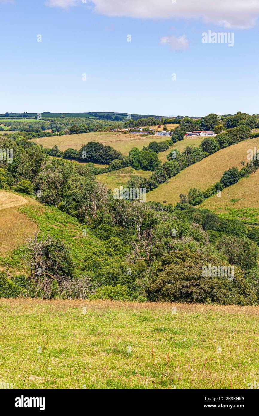 Une vue dans le parc national d'Exmoor vers South Huckham de Coppleham près de Winsford, Somerset Royaume-Uni - Notez les arbres morts dans la vallée en raison de Ash Die Back Banque D'Images