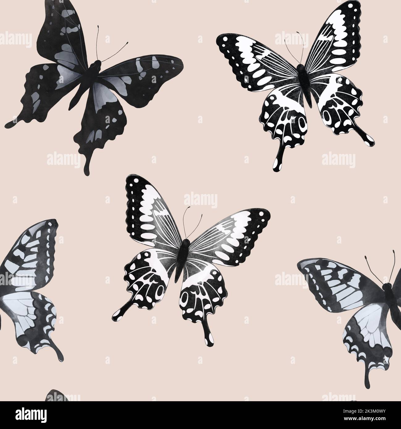 Motif céleste sans couture élégant avec pois. Arrière-plan magique de boho avec éléments d'espace gris étoiles, papillons. Texture coolée noir et blanc. Banque D'Images