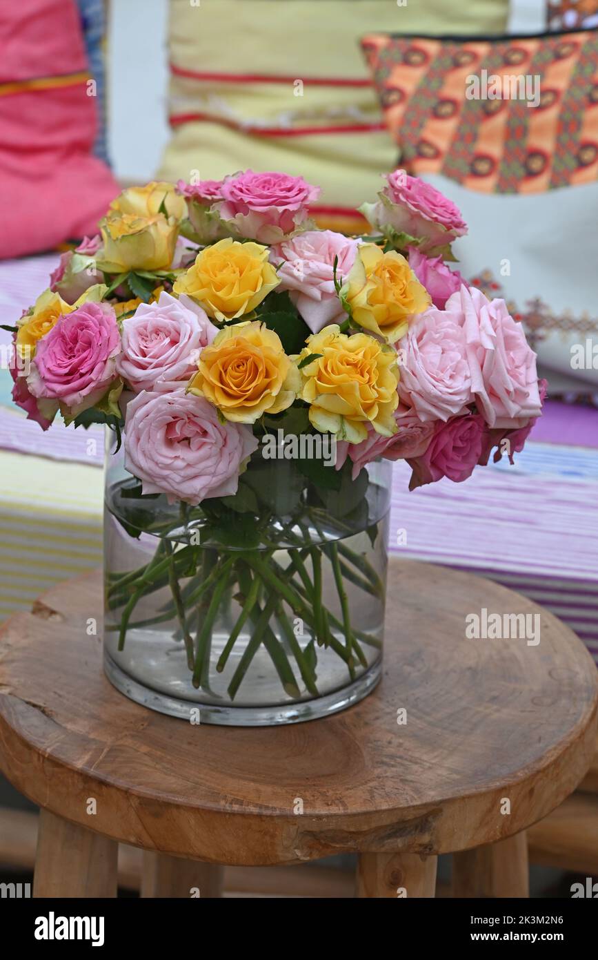 Roses dans une variété de couleurs mélangées. Banque D'Images