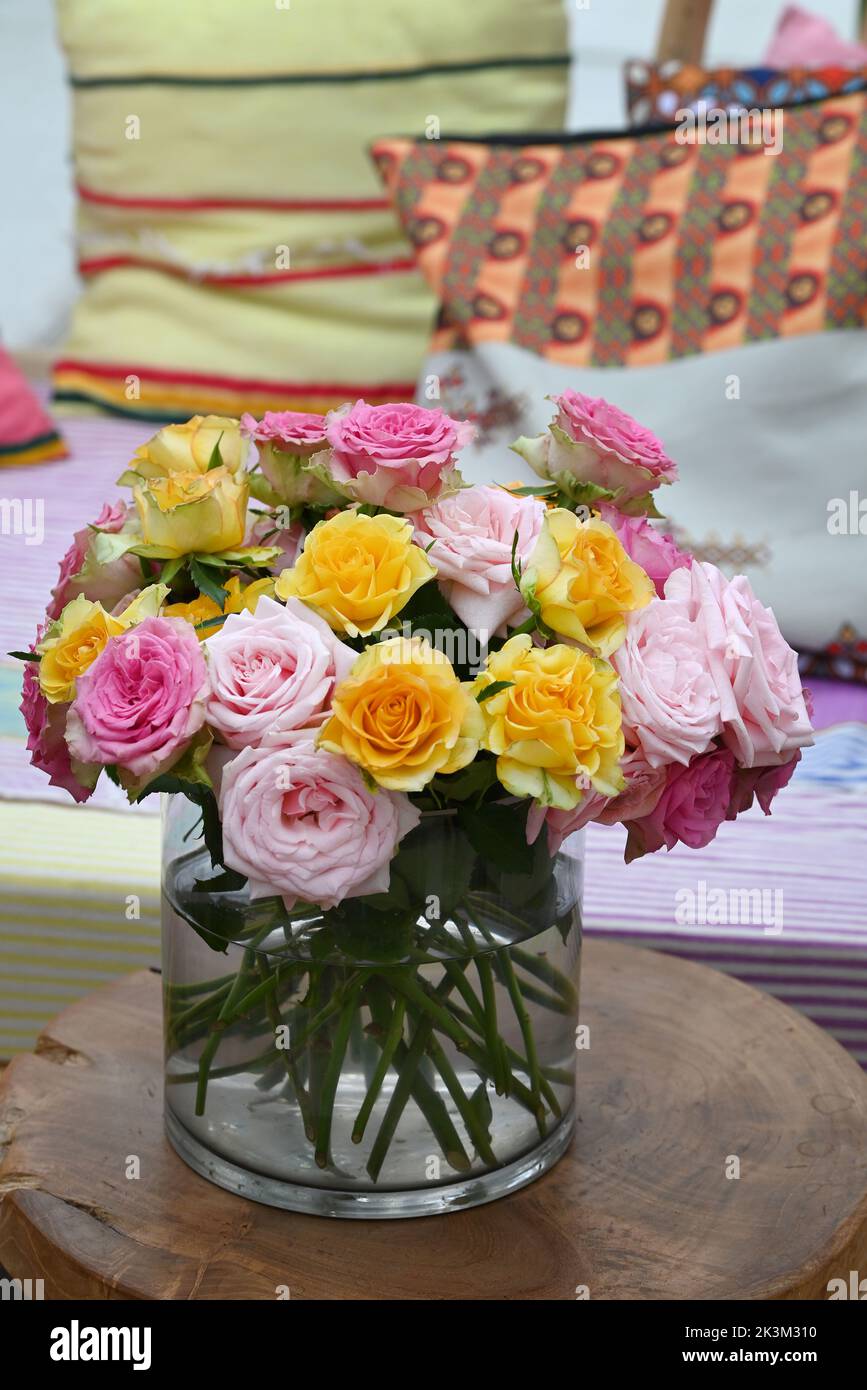 Roses dans une variété de couleurs mélangées. Banque D'Images