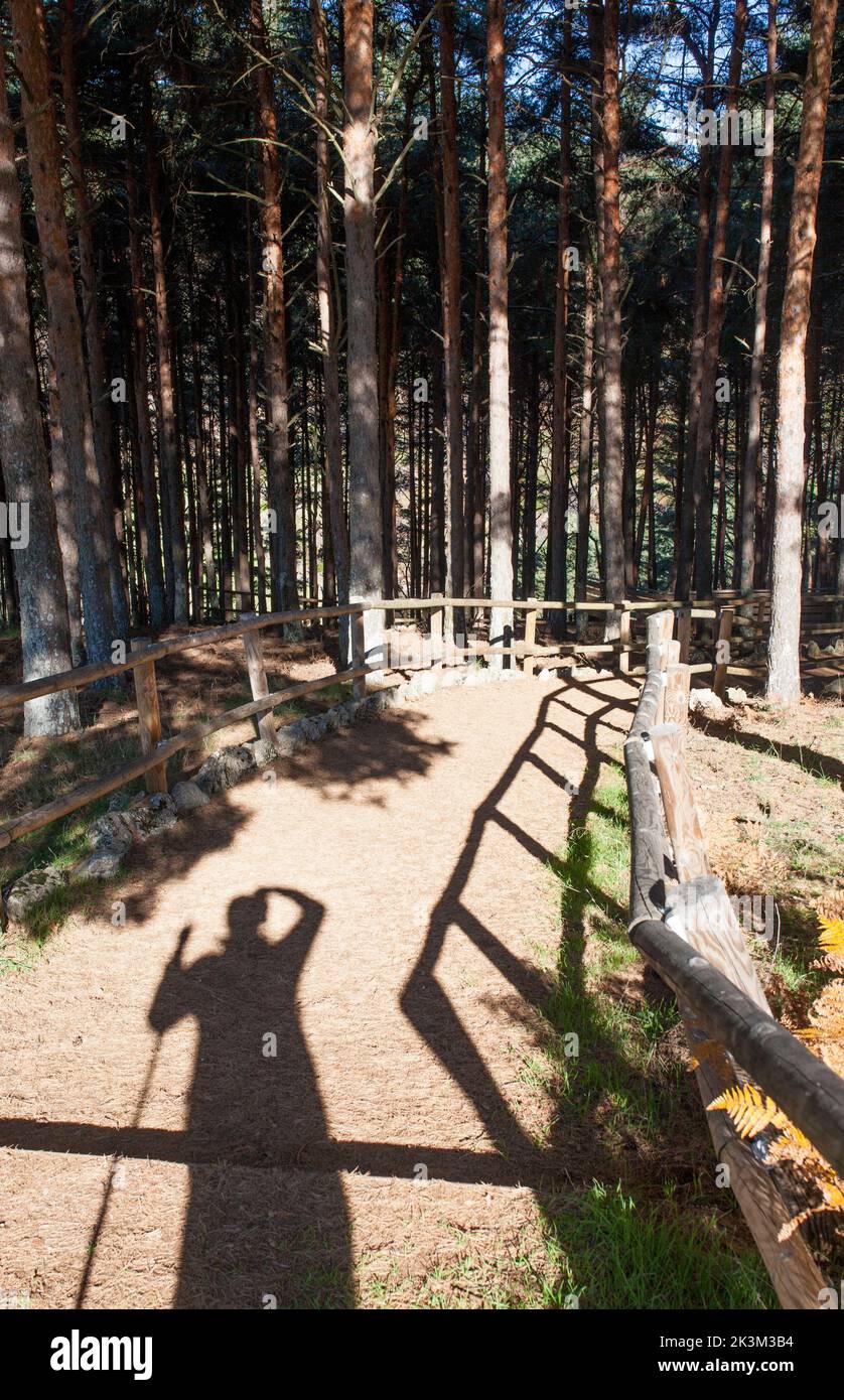 Handrail en bois de la Garganta. Ombre Trekker visible. Il utilise sa main comme visière. Estrémadure, Espagne Banque D'Images