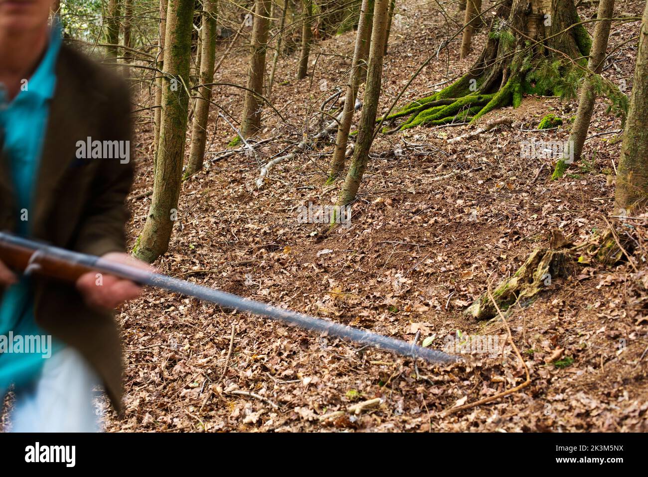 Une image de blury d'un homme qui marche à travers les bois a un fusil Banque D'Images