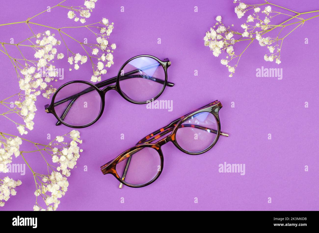 Lunettes élégantes pour femmes sur fond violet avec branches de gitsophila Banque D'Images