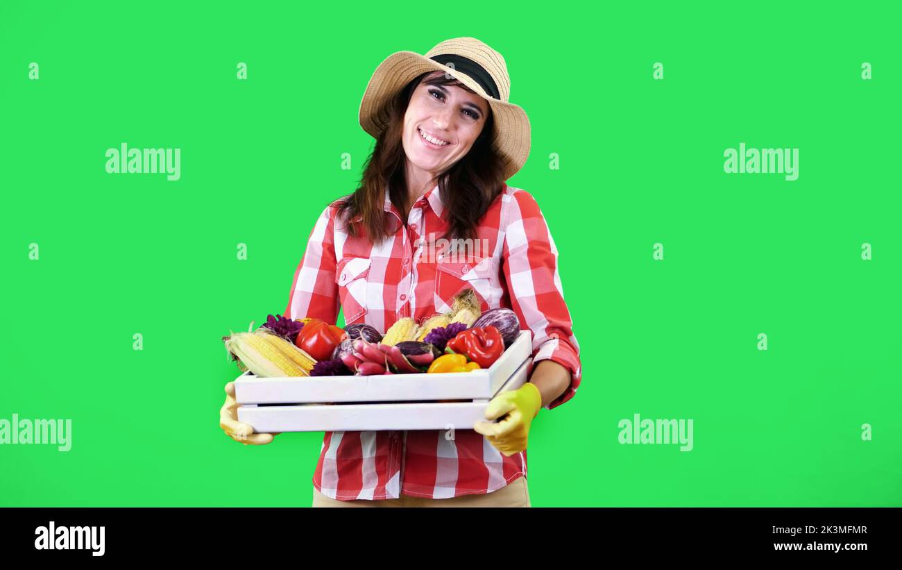 Femme paysanne souriante en chemise à carreaux, gants et chapeau essuie la sueur, tient une boîte avec différents légumes frais, récolte. Fond vert, studio, nourriture saine à votre table. Photo de haute qualité Banque D'Images