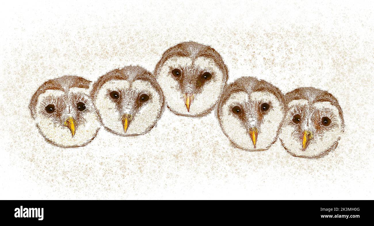 Les hiboux de la grange sont vus alignés, les yeux larges ouverts dans une illustration de 3-d. Banque D'Images