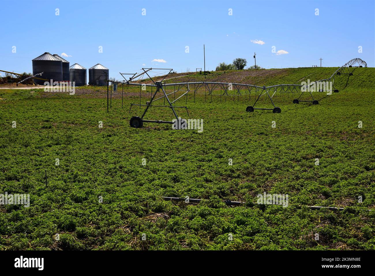 Irrigation des champs de pommes de terre et des lignes de roues. La culture de la pomme de terre est le pilier de l'État de l'Idaho, aux États-Unis. Banque D'Images