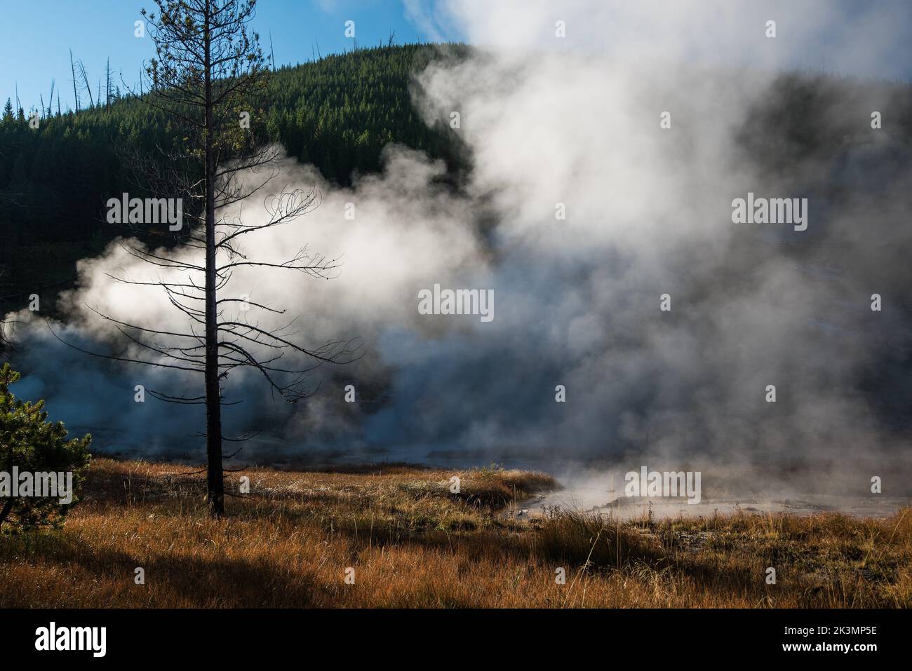 Les piscines thermales et les sources, créées par la pression et l'activité volcanique, sont répandues le long des routes pittoresques du parc national de Yellowstone. Banque D'Images