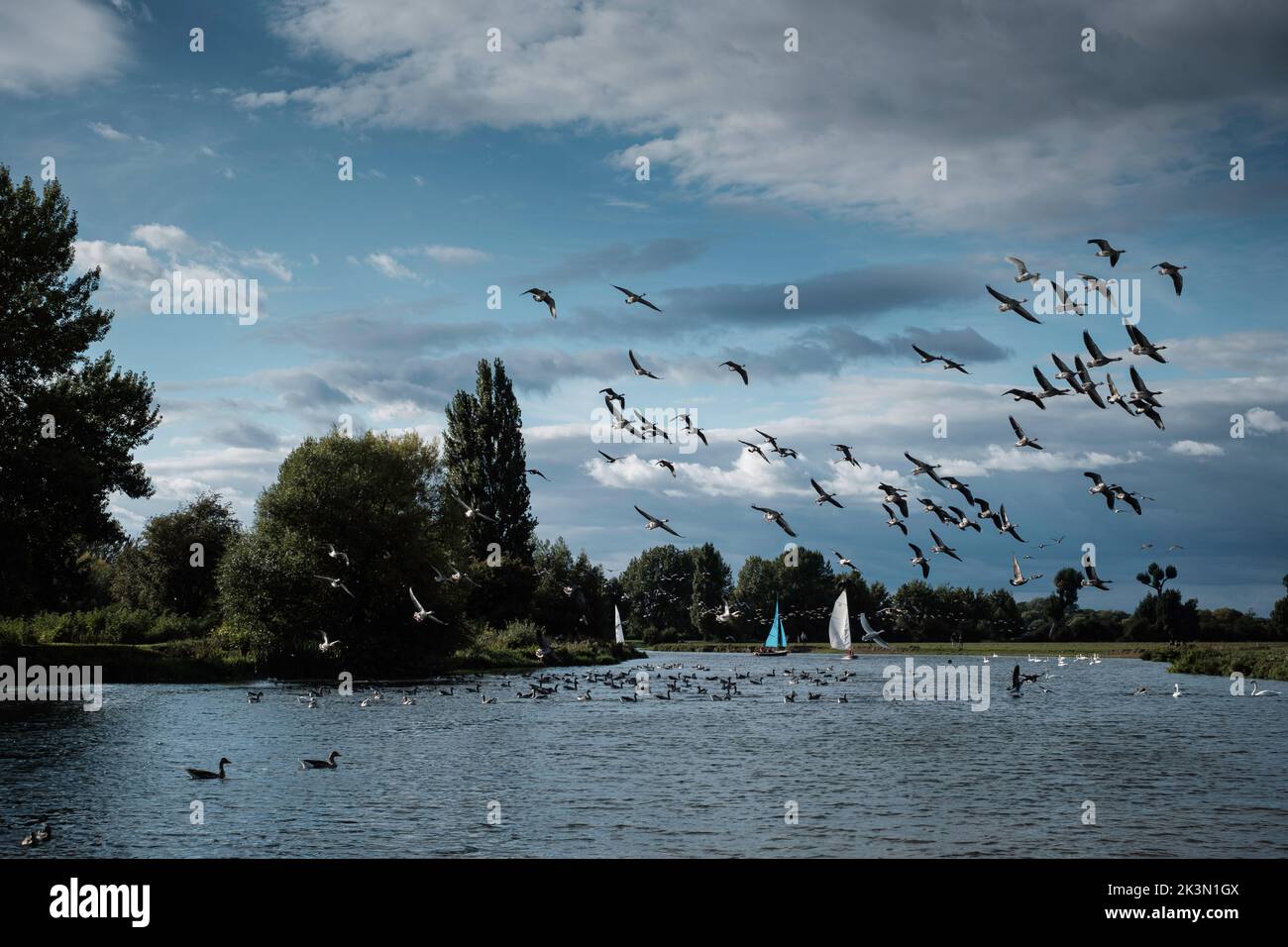 Thames River, Oxford, Oxfordshire, Royaume-Uni Banque D'Images