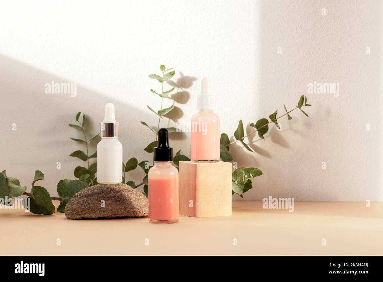 Flacons compte-gouttes cosmétiques et branche d'eucalyptus au soleil. Cosmétiques naturels et concept d'aromathérapie. Banque D'Images