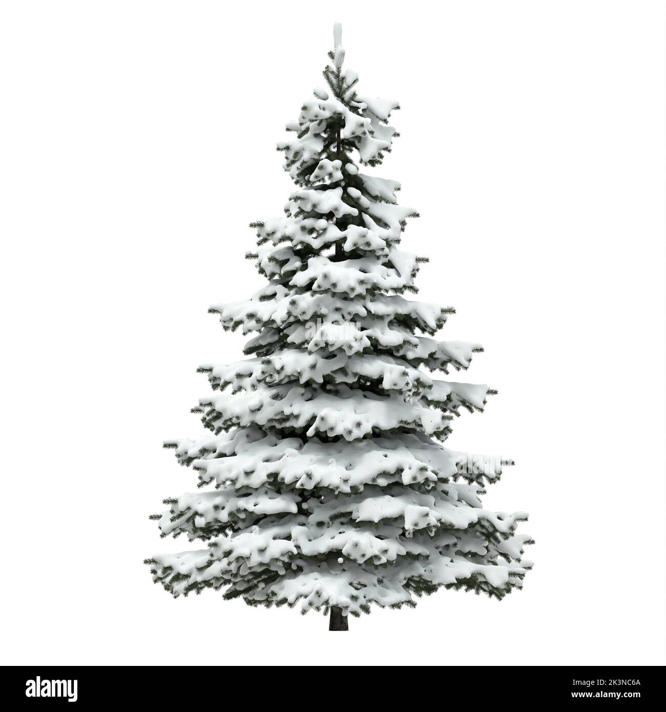 Arbre de Noël recouvert de neige sur fond blanc - 3D rendu Banque D'Images