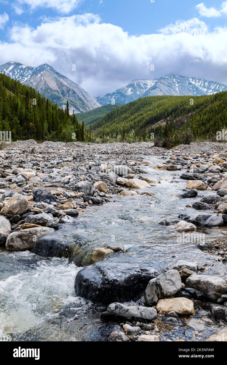 Le cours d'eau glaciaire traverse le champ de la morraine rocheuse et le ventilateur alluvial; le lac Muncho; la Colombie-Britannique; le Canada Banque D'Images