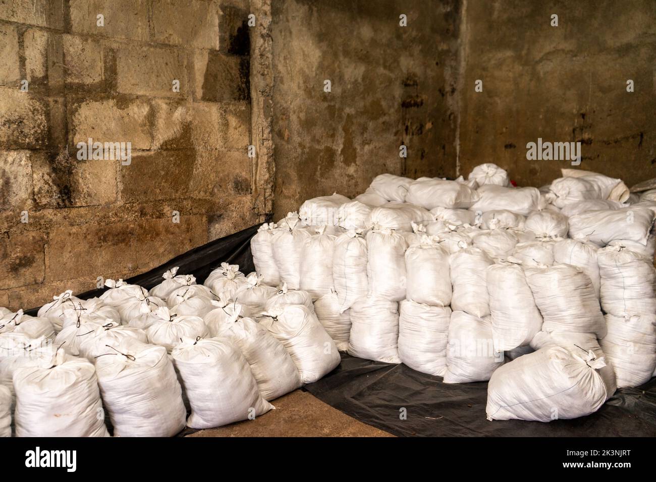 Sacs blancs stockés dans un entrepôt rustique au Nicaragua Banque D'Images
