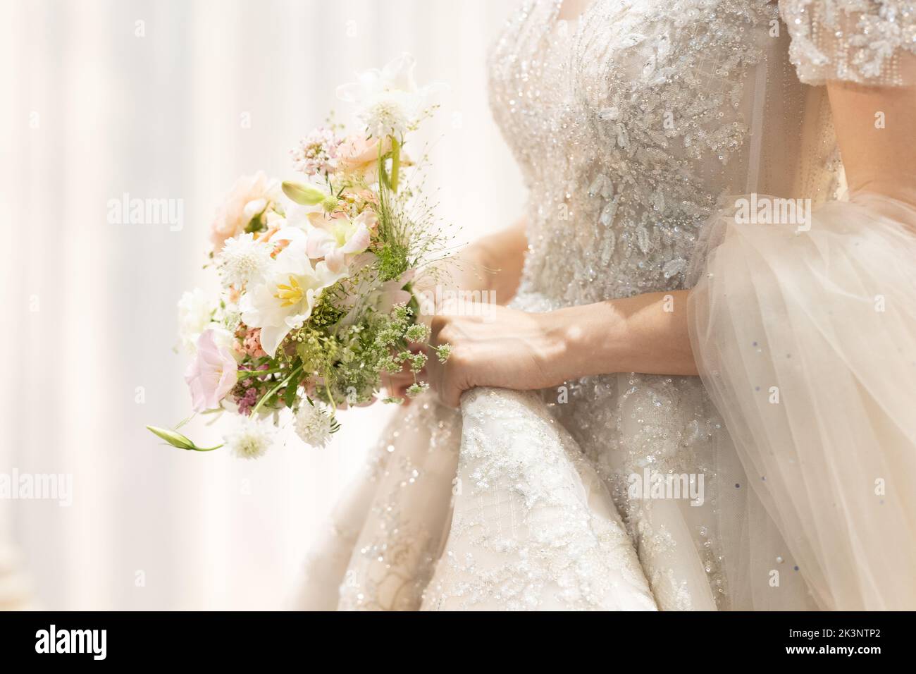 Magnifique mariée dans une belle robe. Jour de mariage. Banque D'Images