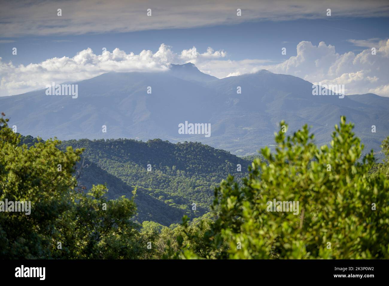 Montagne Montseny vue de Sant Martí de Montnegre (Vallès Oriental, Barcelone, Catalogne, Espagne) ESP: La montaña del Montseny vista desde Montnegre Banque D'Images