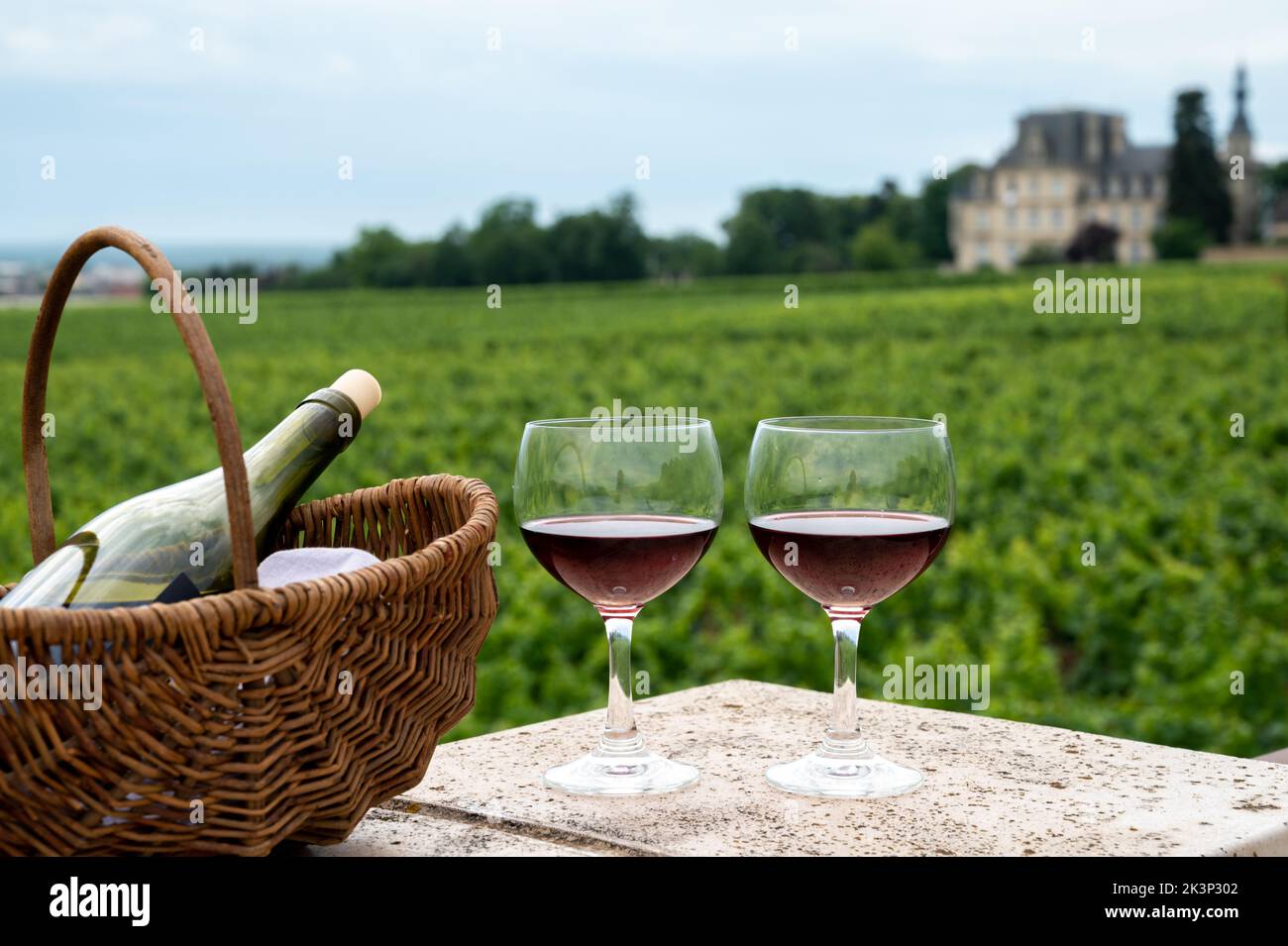 Dégustation de vin rouge sec de pinot noir en verres sur les vignobles de première et de grande cru dans la région viticole de Bourgogne près du village de Vosne-Romanée, en France Banque D'Images