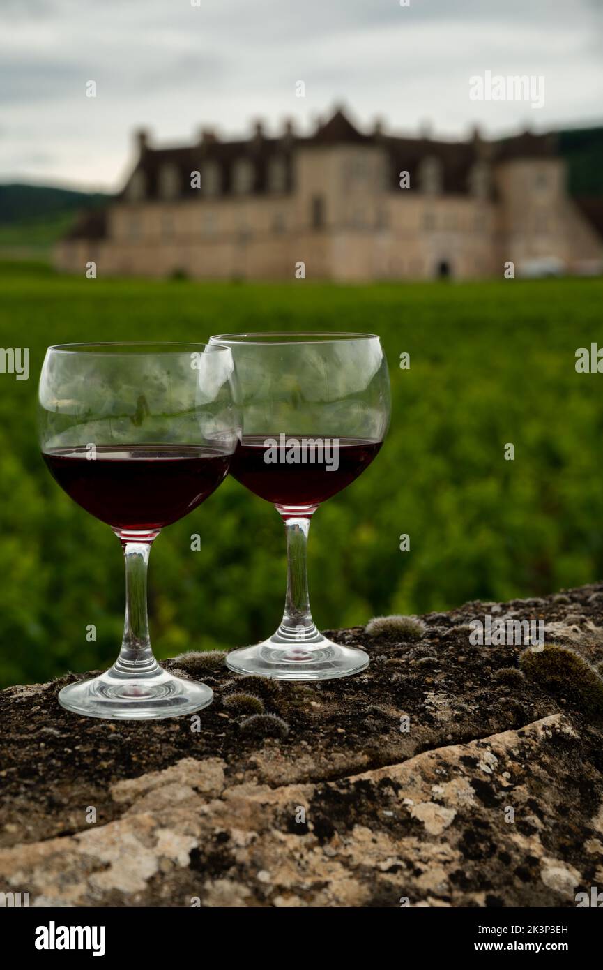 Visitez des grottes et dégustez du vin rouge sec de pinot noir en verre sur les vignobles de la cru de premier et grand en Bourgogne, région viticole avec château sur le backgrou Banque D'Images