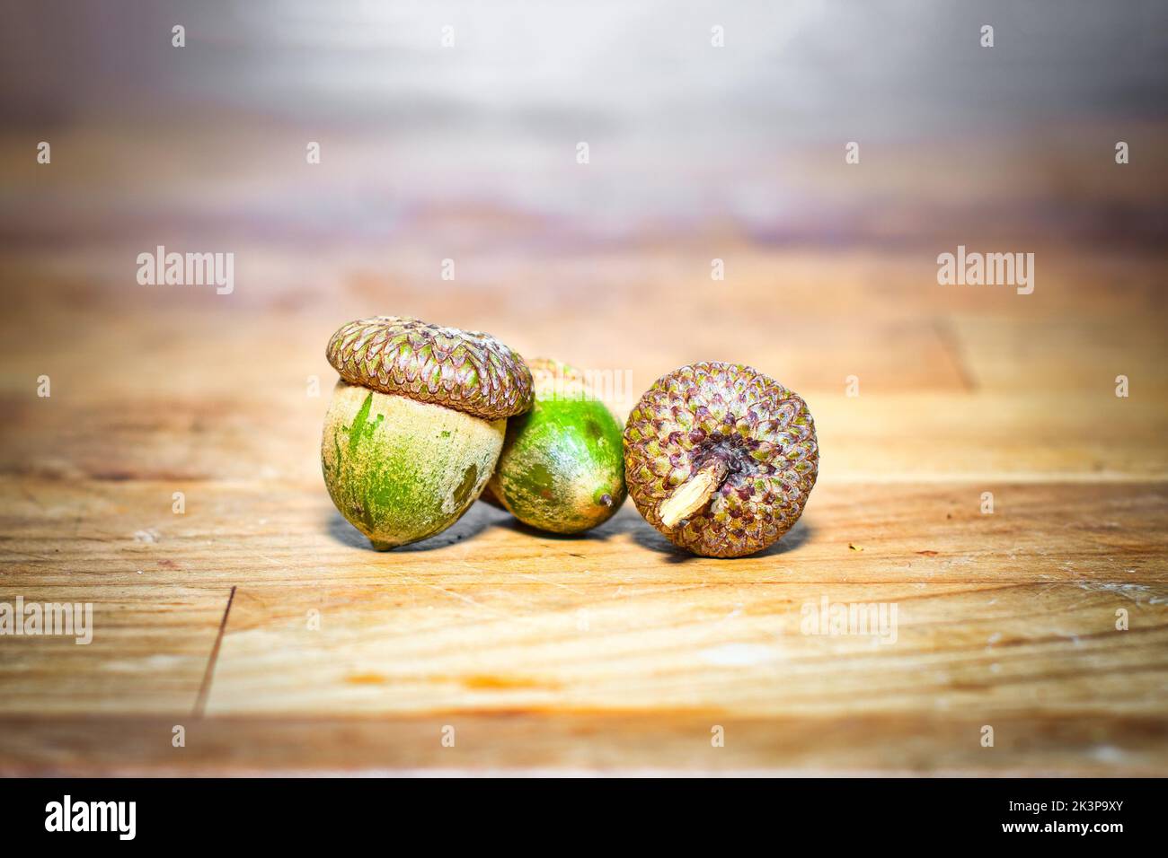 Trois acorns sur une plate-forme en bois Banque D'Images