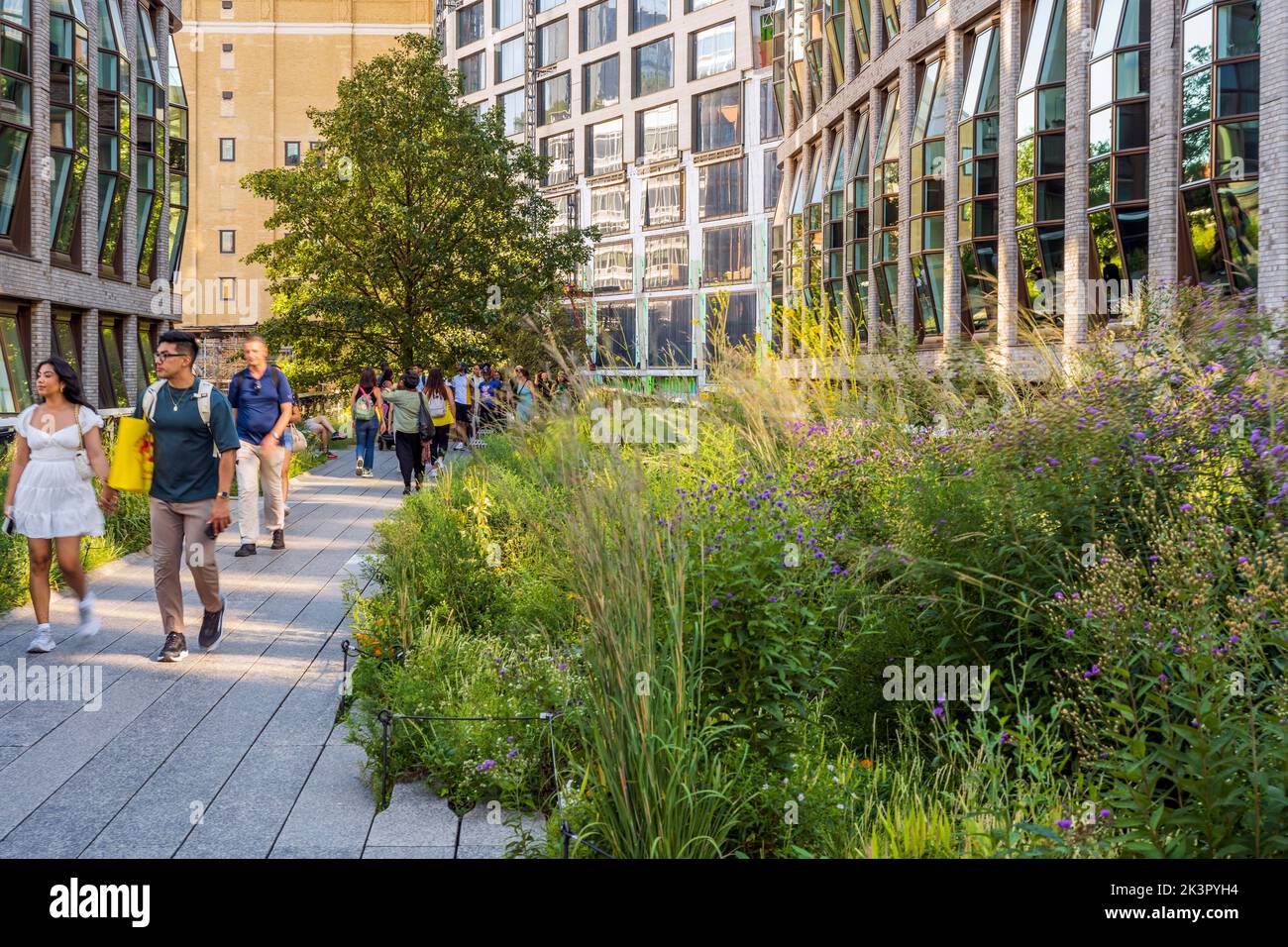 High Line Elevated Park, Manhattan, New York, États-Unis Banque D'Images