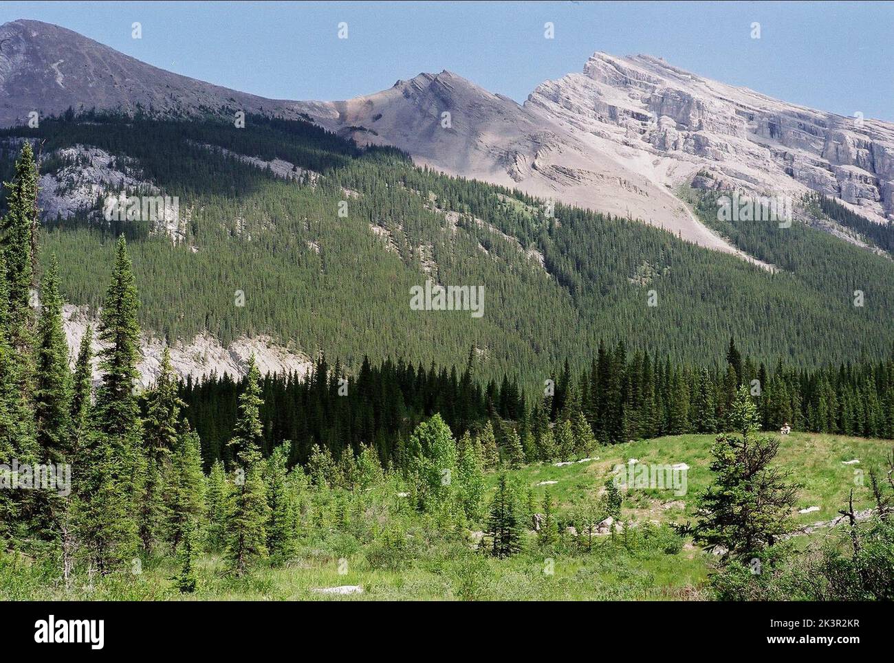 Film de la scène de montagne : Brokeback Mountain (USA/CAN 2005) Directeur : ANG Lee 02 septembre 2005 **AVERTISSEMENT** cette photographie est destinée à un usage éditorial exclusif et est protégée par les droits d'auteur des FONCTIONS FOCUS et/ou du photographe attribué par la Société de film ou de production et ne peut être reproduite que par des publications en conjonction avec la promotion du film ci-dessus. Un crédit obligatoire est requis pour LES FONCTIONNALITÉS DE CONCENTRATION. Le photographe doit également être crédité lorsqu'il est connu. Aucune utilisation commerciale ne peut être accordée sans l'autorisation écrite de la Société du film. Banque D'Images