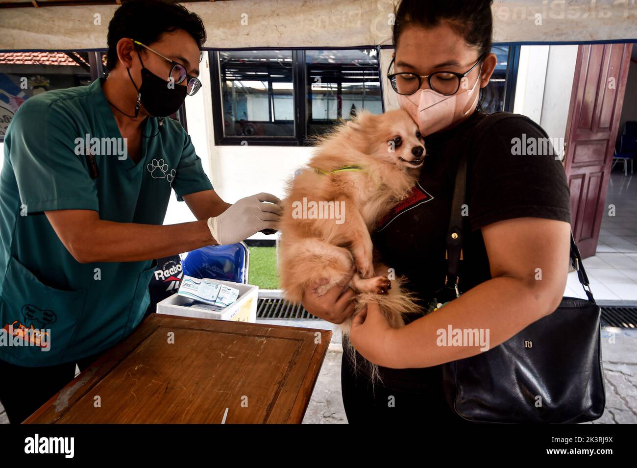 Jakarta, Indonésie. 28th septembre 2022. Un vétérinaire donne à un chien une dose de vaccin contre la rage à Jakarta, Indonésie, le 28 septembre 2022. La Journée mondiale de la rage est célébrée chaque année afin de sensibiliser la population à la prévention de la rage et de souligner les progrès réalisés dans la lutte contre la maladie. Credit: Agung Kuncahya B./Xinhua/Alay Live News Banque D'Images