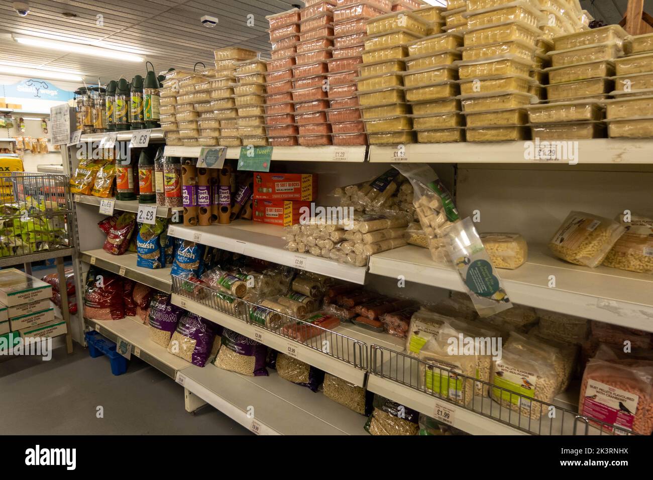 Vue sur la nourriture pour oiseaux sauvages à vendre sur une étagère dans un centre de jardin de Norfolk Banque D'Images