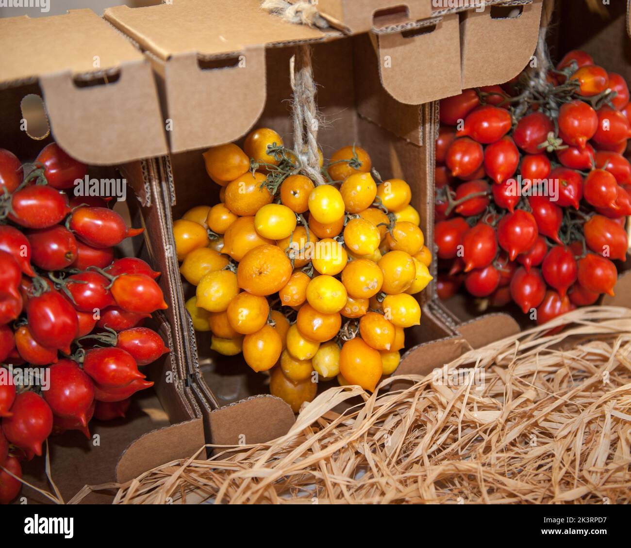 Des petits pains de tomates rouges et jaunes exposés au Salone del Gusto 2022 Banque D'Images