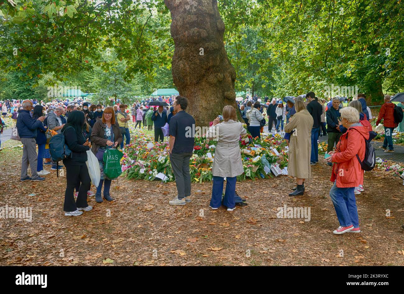 Le public britannique pleure et respecte la reine Elizabeth II dans des hommages floraux, Grene Park, par Buckingham Palace, Londres, après sa mort. Banque D'Images