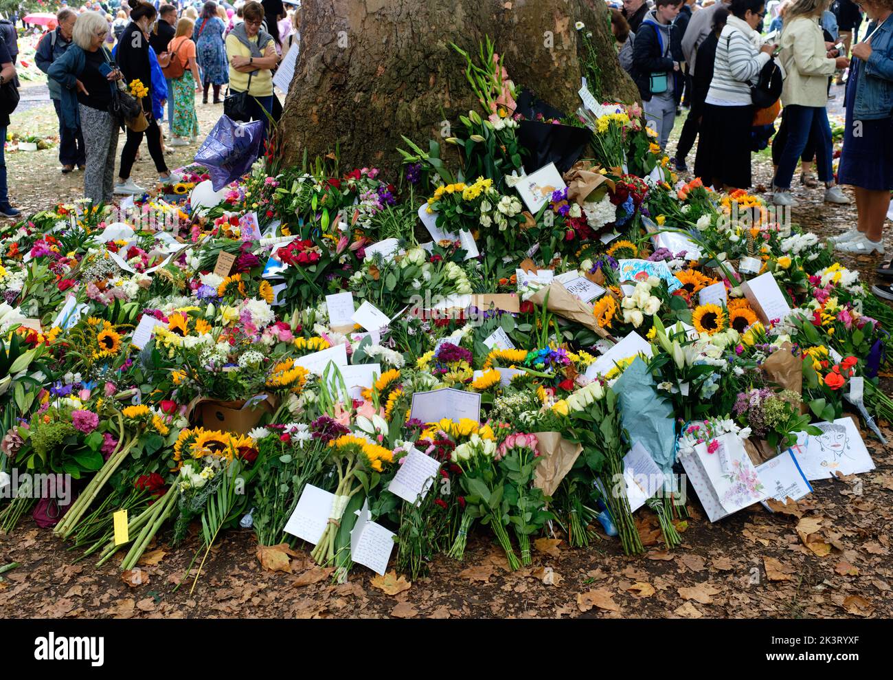 Le public britannique pleure et respecte la reine Elizabeth II dans des hommages floraux, Grene Park, par Buckingham Palace, Londres, après sa mort. Banque D'Images