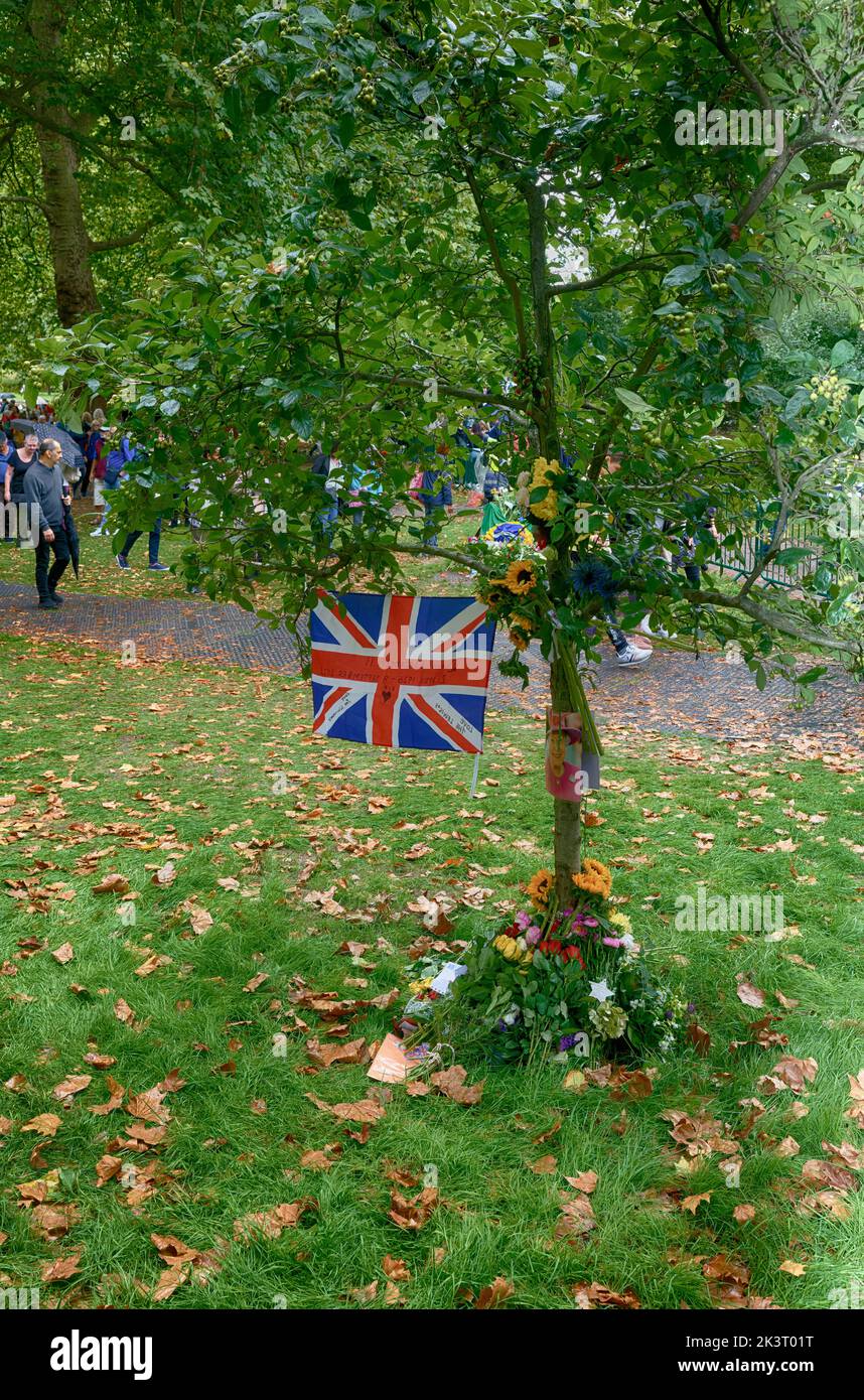 Drapeau britannique de l'Union Jack suspendu d'un arbre parmi les hommages floraux à la reine Elizabeth II après sa mort, dans le parc Grene. Banque D'Images