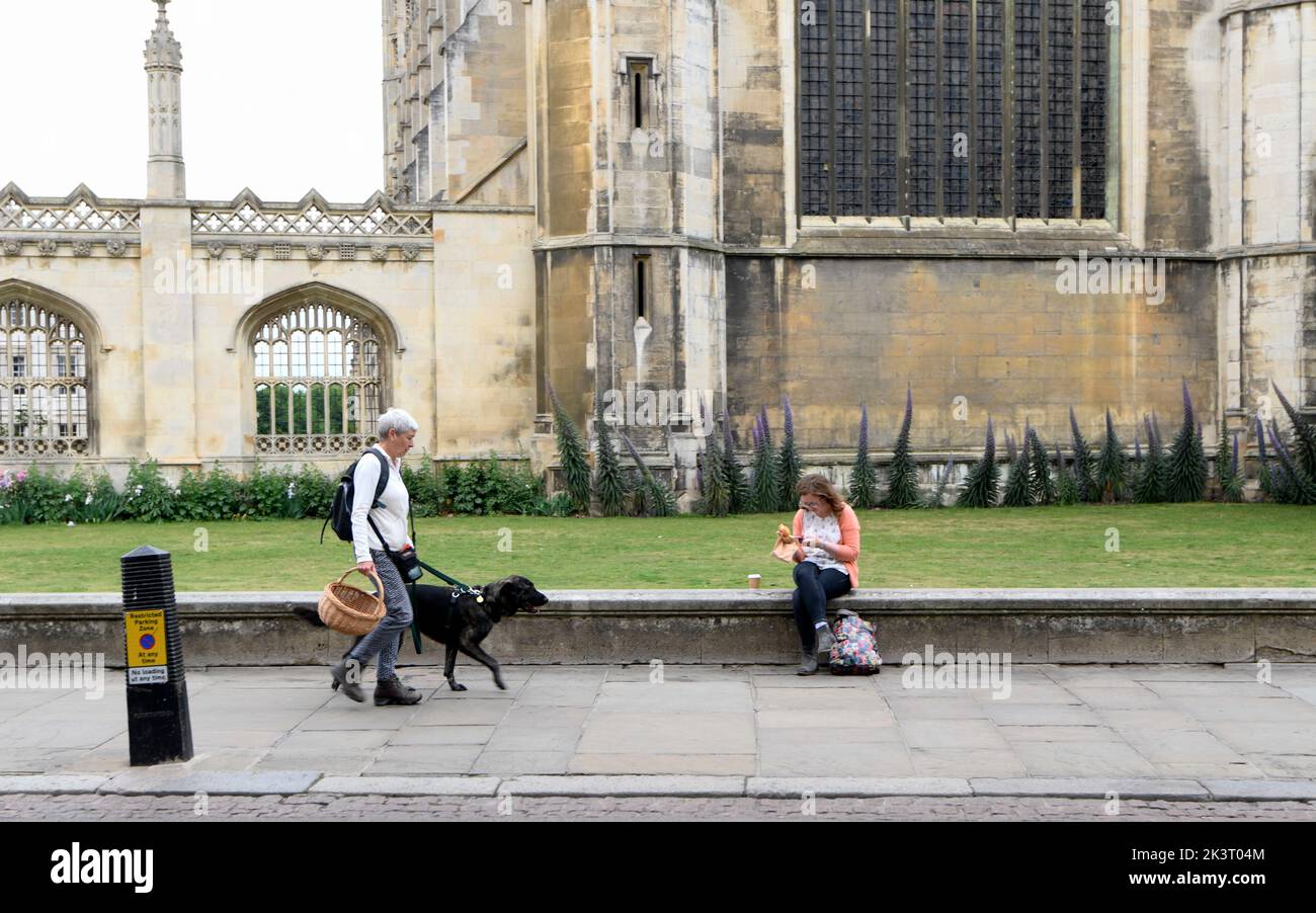 Femme marchant son chien, après Kings College, Cambridge Banque D'Images
