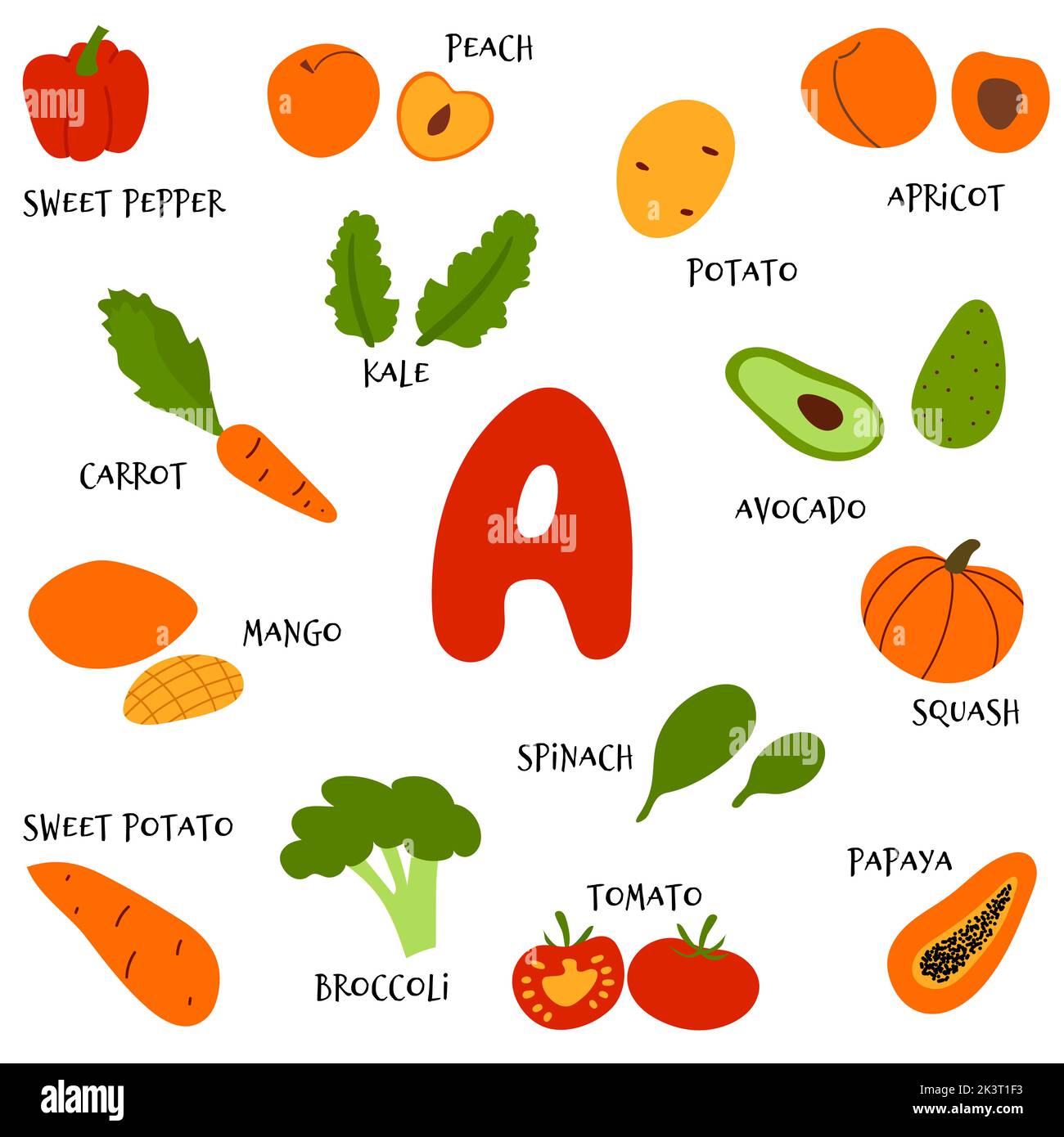 Collection de fruits et de légumes à main vecteur riches en bêta-carotène. Infographie sur les sources de nourriture de la vitamine A pour les végétaliens dans le style de dessin animé plat Illustration de Vecteur