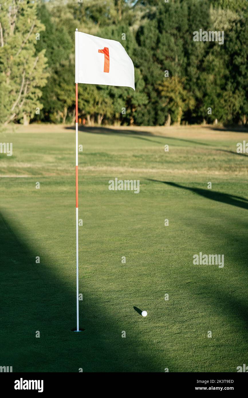 Drapeau de PIN avec le nombre et le ballon sur le terrain de golf herbacé entouré par des arbres verts luxuriants le jour ensoleillé Banque D'Images