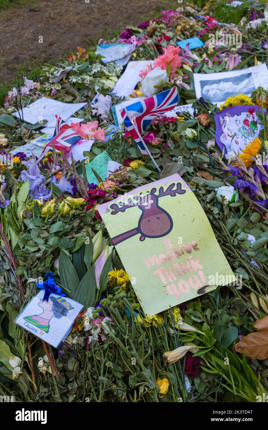 Des messages poignants et des hommages floraux à feu la reine Elizabeth II à Green Park, Londres, Royaume-Uni en septembre - les fleurs sont fanées mais les souvenirs persistent Banque D'Images