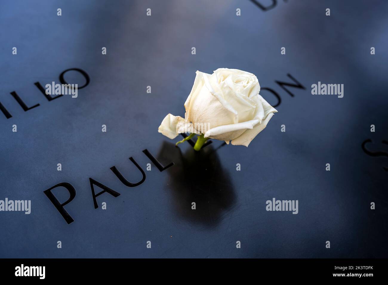 Rose blanche à gauche sur le parapet qui embarque dans la piscine du Mémorial et musée national de 11 septembre, Manhattan, New York, États-Unis Banque D'Images