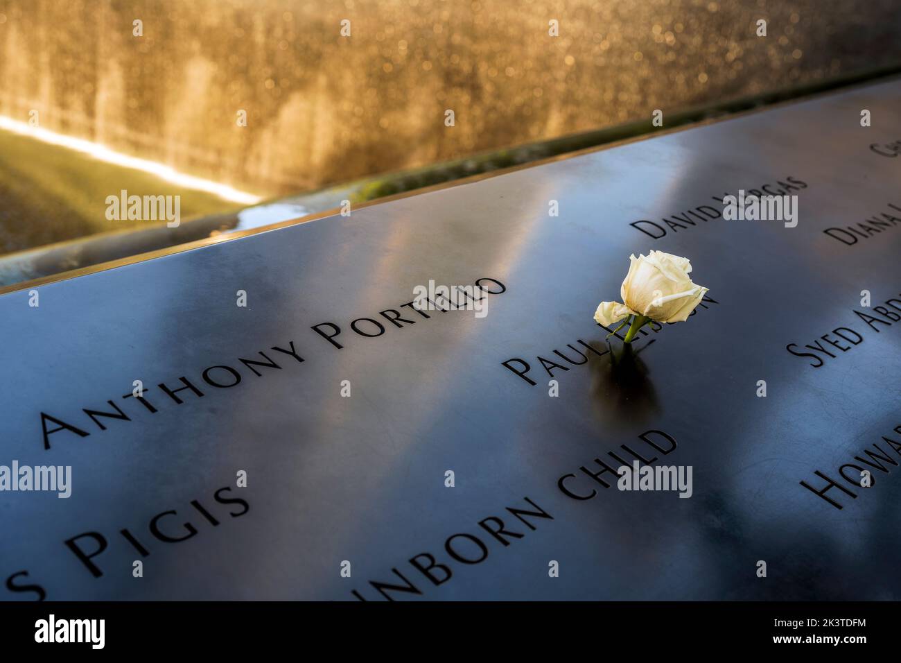 Rose blanche à gauche sur le parapet qui embarque dans la piscine du Mémorial et musée national de 11 septembre, Manhattan, New York, États-Unis Banque D'Images