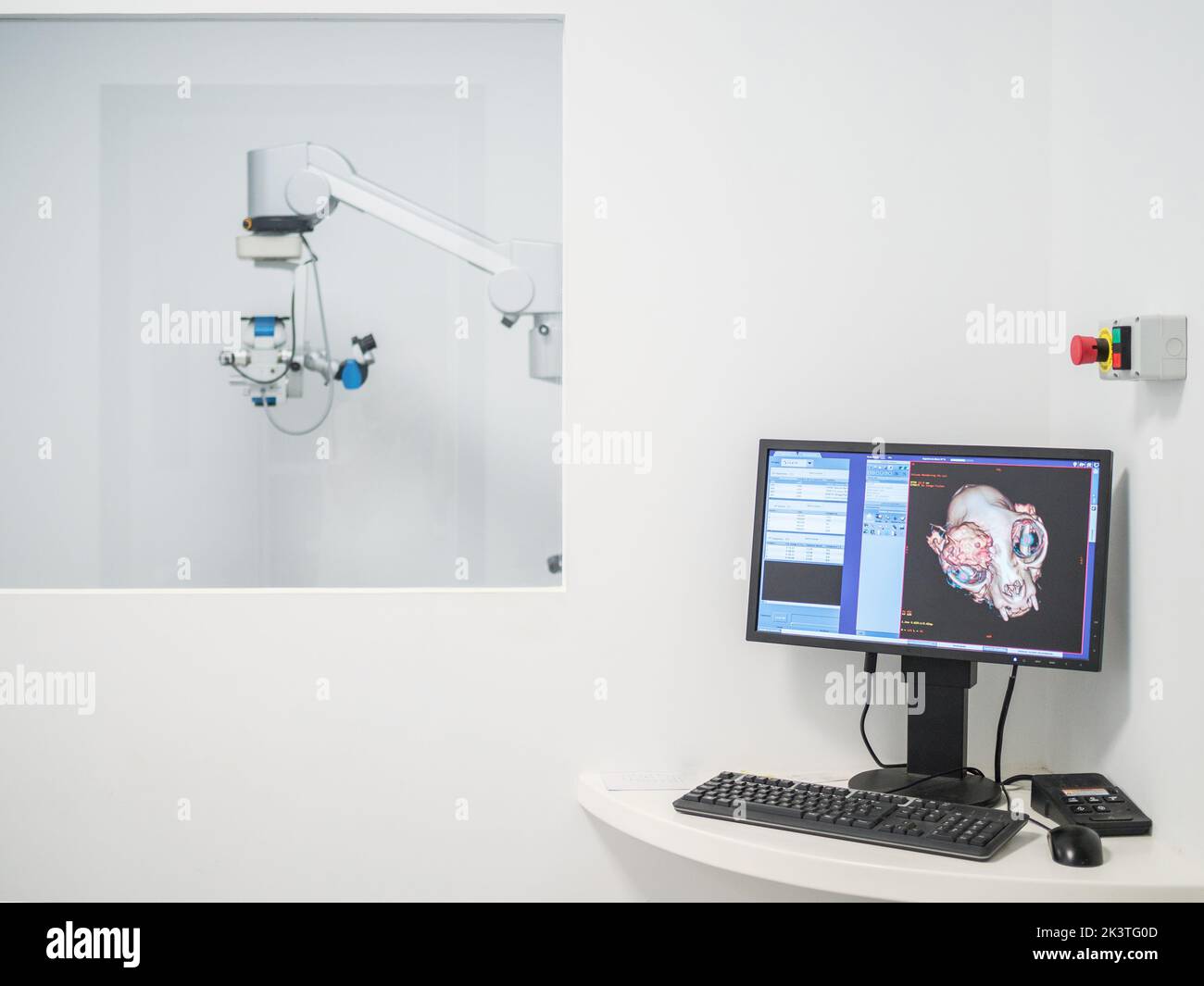 Moniteur d'ordinateur montrant l'IRM de chien avec une énorme tumeur dans la clinique vétérinaire moderne Banque D'Images