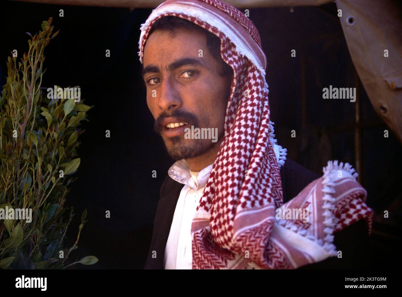Shebam Yémen Portrait de l'homme en robe traditionnelle et coiffe arabe Rouge et Blanc Shemagh Banque D'Images