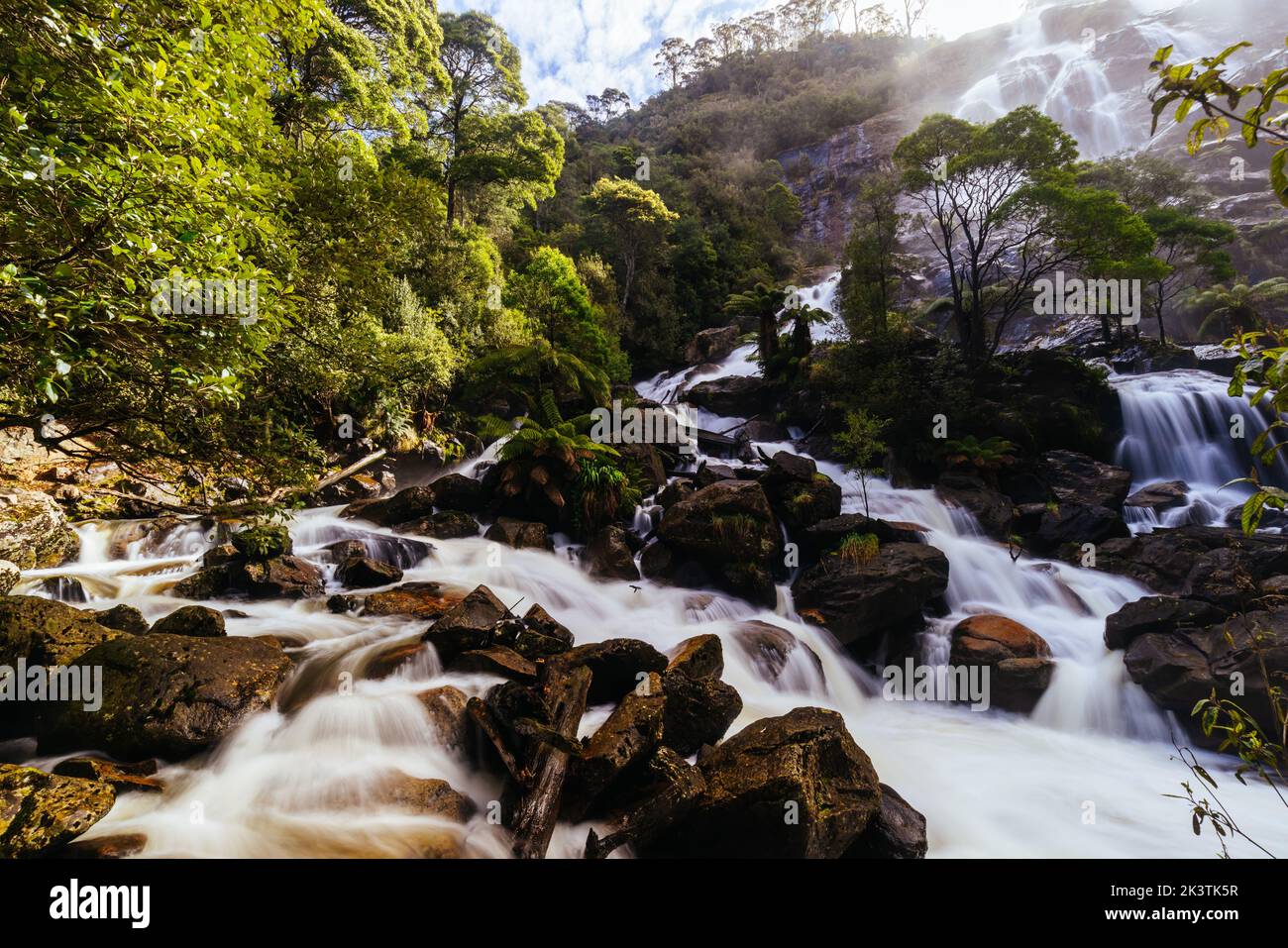 St Columba Falls en Tasmanie Australie Banque D'Images