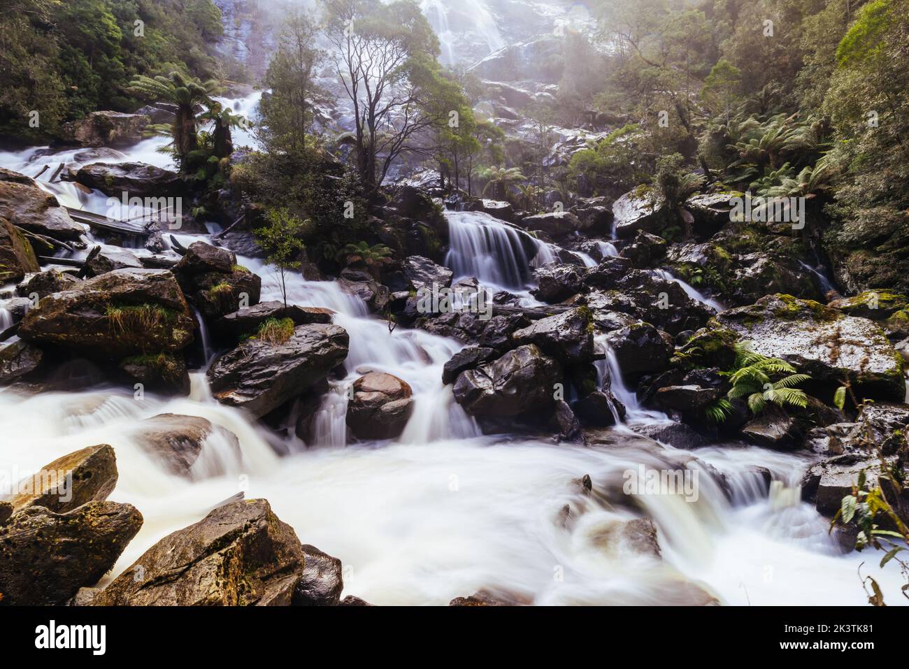 St Columba Falls en Tasmanie Australie Banque D'Images