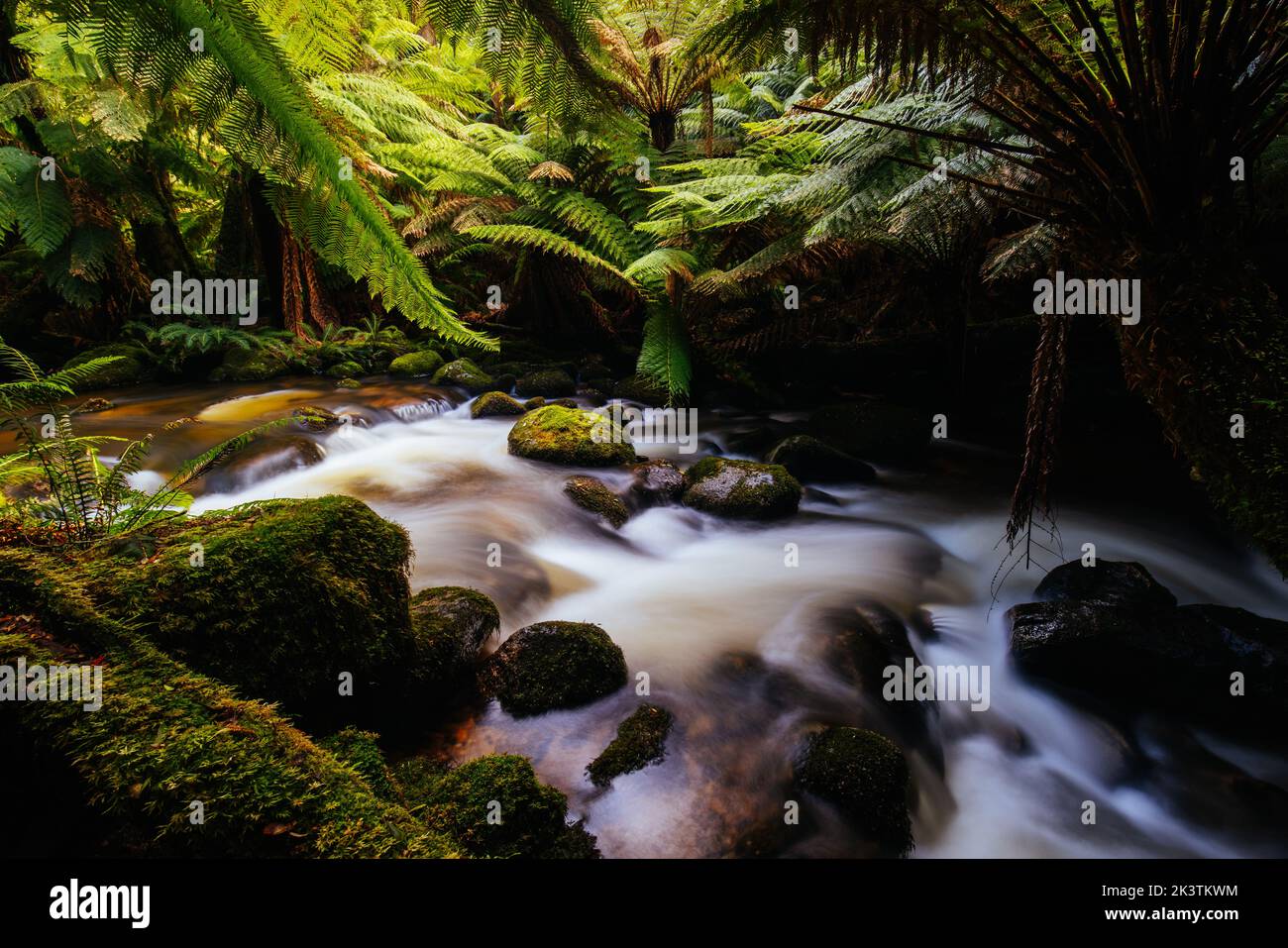 St Columba Falls en Tasmanie Australie Banque D'Images