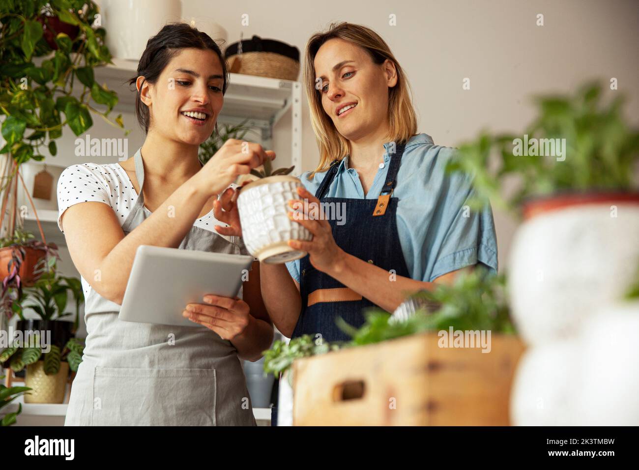 Les collaborateurs de Greenhouse fixent des prix à la baisse tout en tenant une tablette numérique Banque D'Images