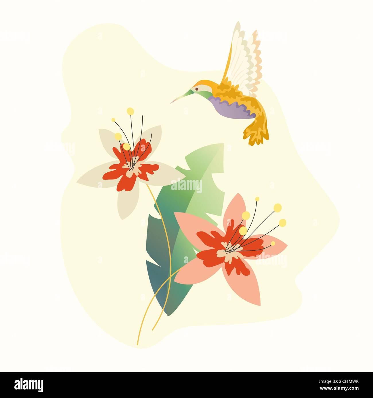 Hummingbird. colibri tropical volant multicolore avec fleur isolée sur fond blanc. Illustration vectorielle de l'oiseau de paradis lumineux survole le Banque D'Images