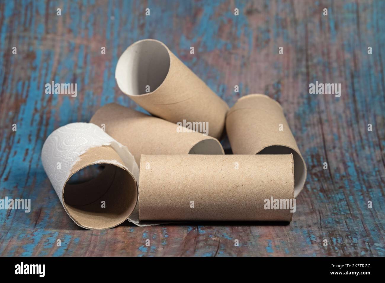 Gros plan des rouleaux de papier hygiénique vides Banque D'Images