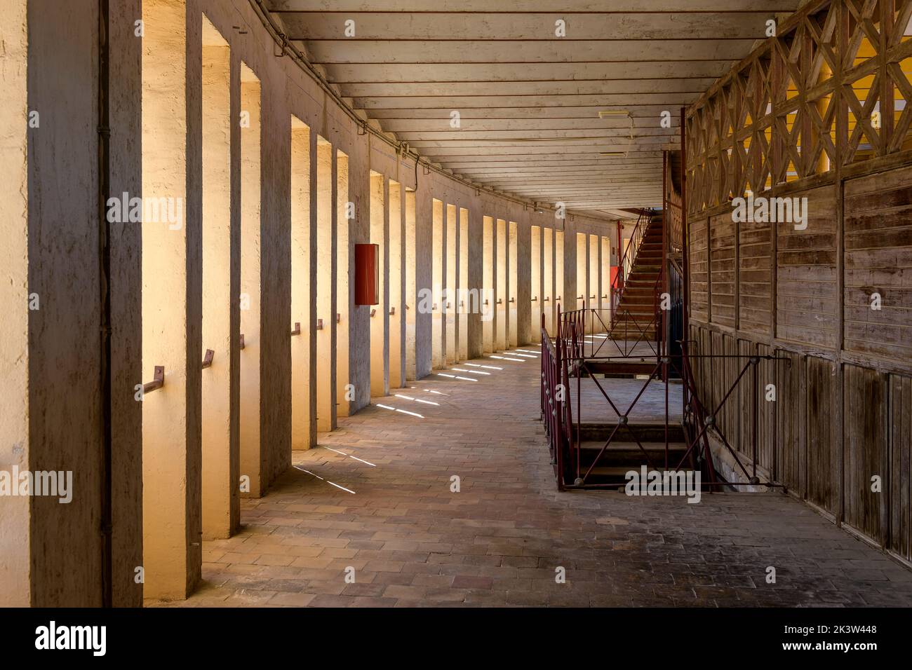 Arènes de Murcia, Espagne - Plaza de Toros de Murcia - Plaza de Toros de la Condomina. Pour des combats sanglants contre le taureau. Construit en 1887, peut accueillir 15 000 personnes. Banque D'Images