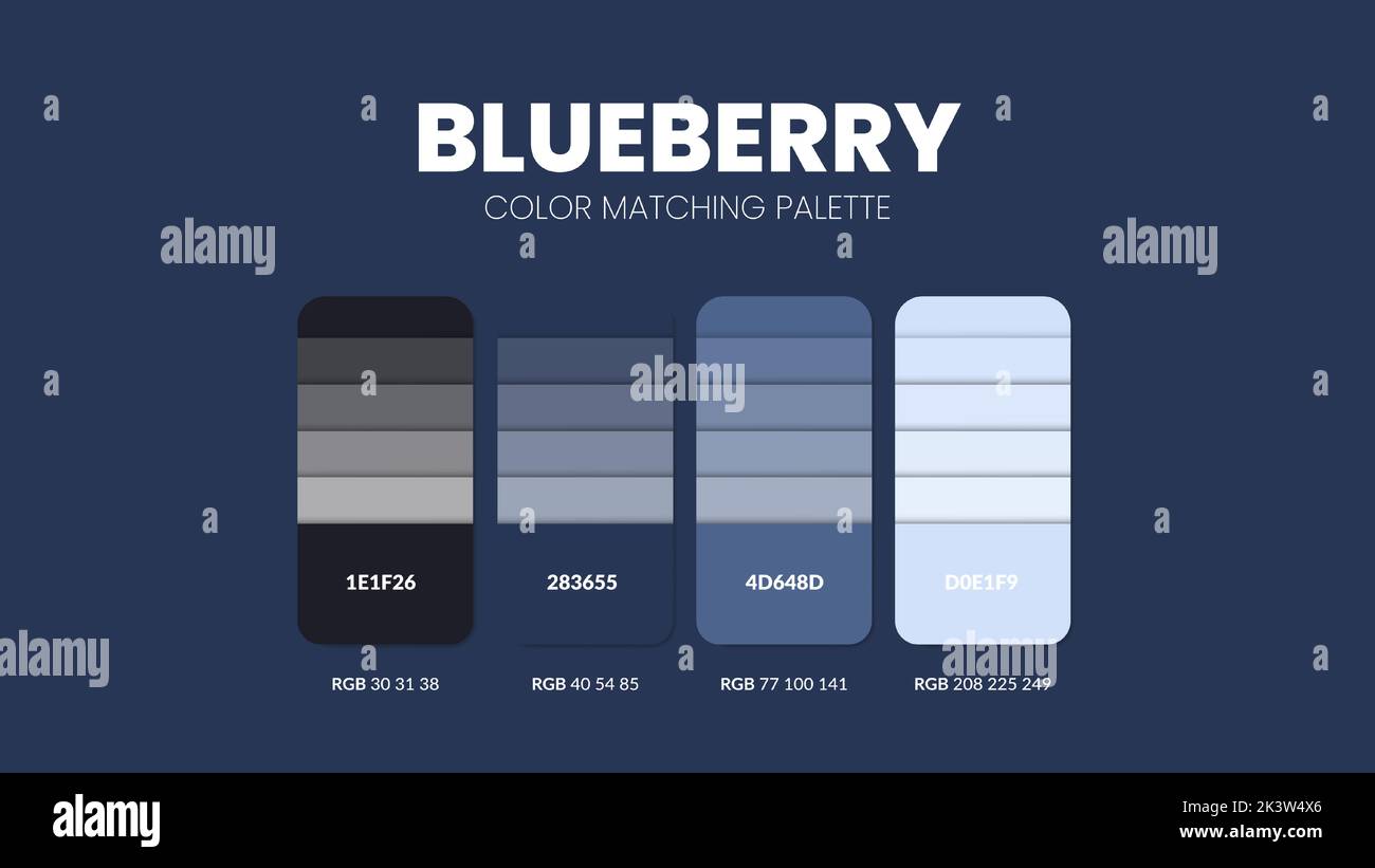 Guide de couleur bleuet livre cartes échantillons. Palette de thèmes de couleurs ou collection de combinaisons de couleurs. Combinaisons de couleurs RVB ou HEXADÉCIMALES. Ensemble de couleurs de tendance swat Illustration de Vecteur