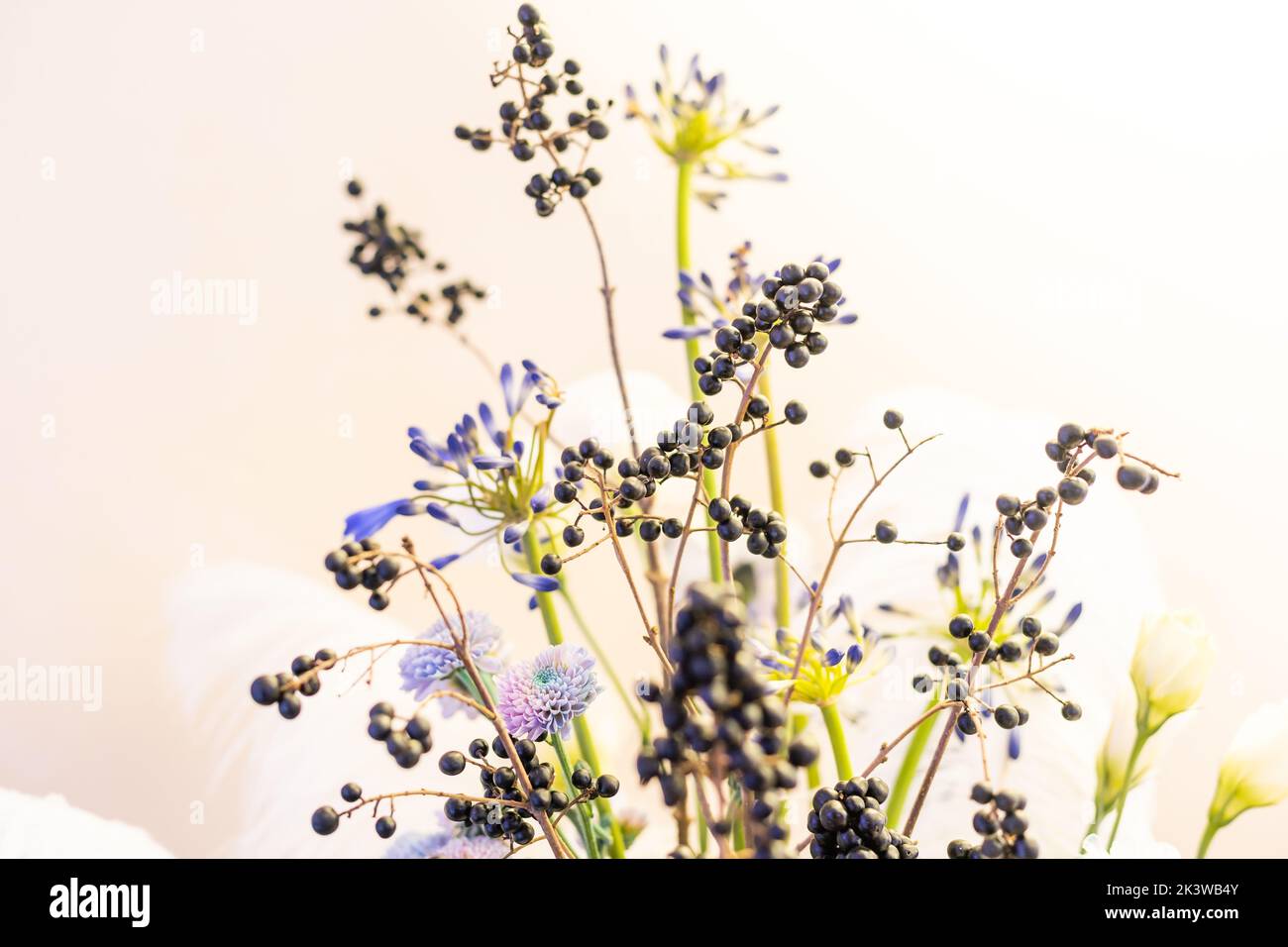 Belle composition florale avec fleurs d'automne et baies. Bouquet d'automne dans un vase vintage sur fond de mur blanc Banque D'Images