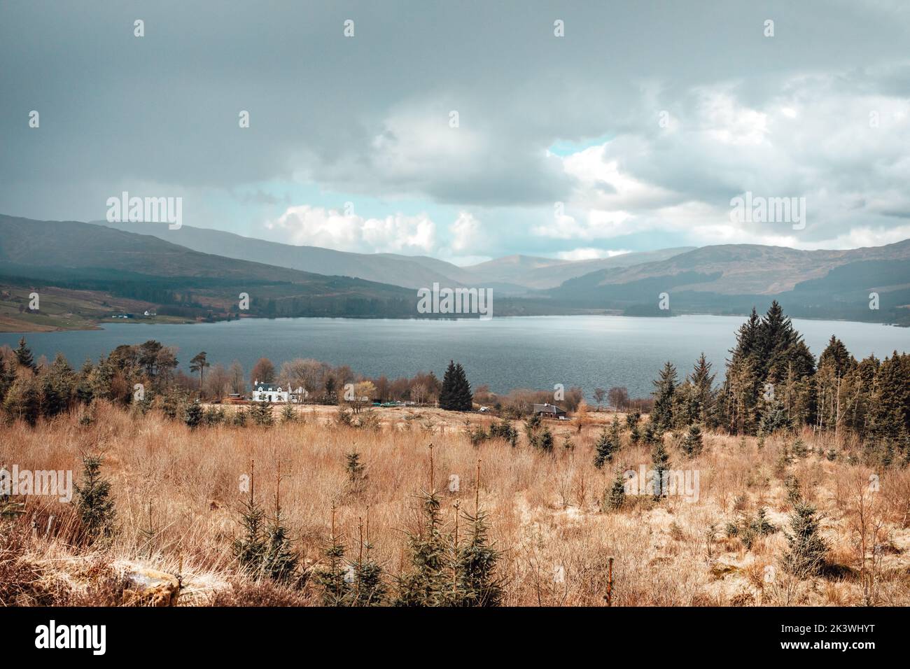 Parc national de Galloway Forest dans la journée Banque D'Images