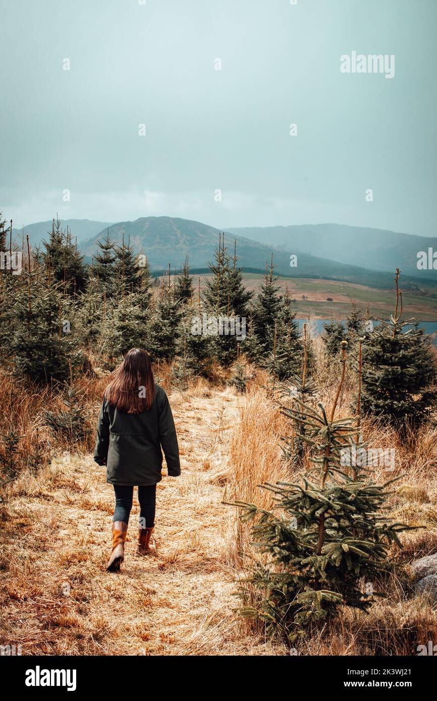 Parc national de Galloway Forest dans la journée Banque D'Images