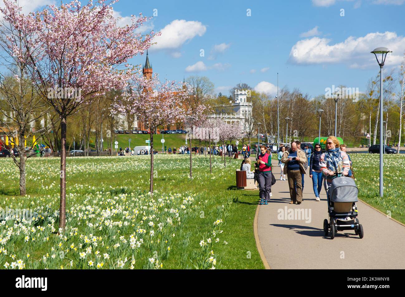 Druskininkai, Lituanie - 21 avril 2018: Les touristes et les résidents de la ville se promènent dans le parc, qui traditionnellement chaque printemps fleurissent des milliers de d. Banque D'Images